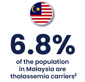 Malaysia population statistics
